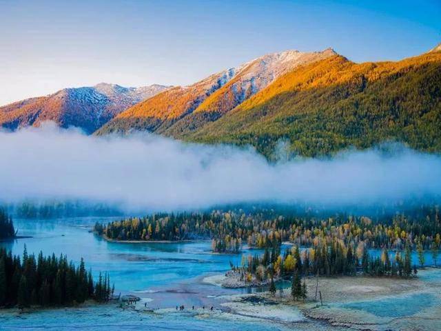 新疆技能学习指南，从入门到进阶的实用步骤指南